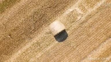 鸟瞰图，在农村种植着一捆捆干草的麦田，快照逆时针旋转